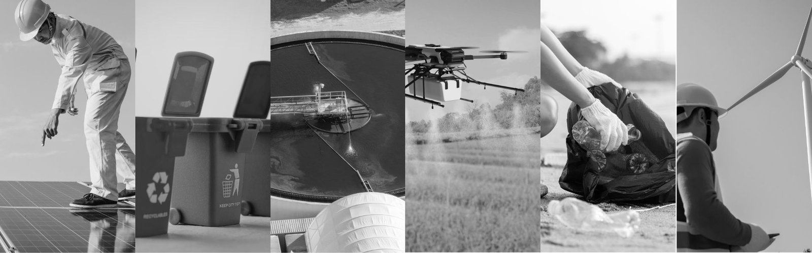 Sustainability vendors